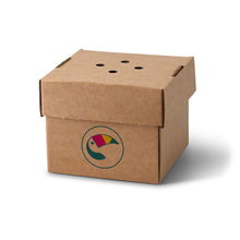 Bedruckte Burgerboxen (faltbar) individuell gestalten - Fast-Food Verpackungen
