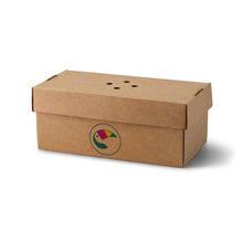Bedruckte Burgerboxen für 2 Burger - Fast-Food Verpackungen