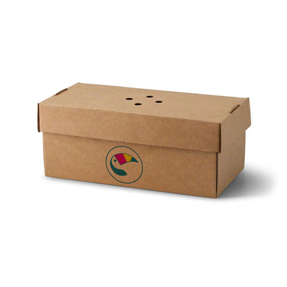 Bedruckte Burgerboxen für 2 Burger - Fast-Food Verpackungen
